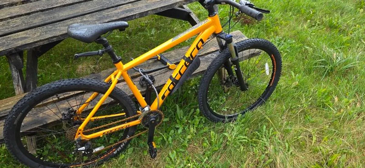 Mountain bike - Image 1