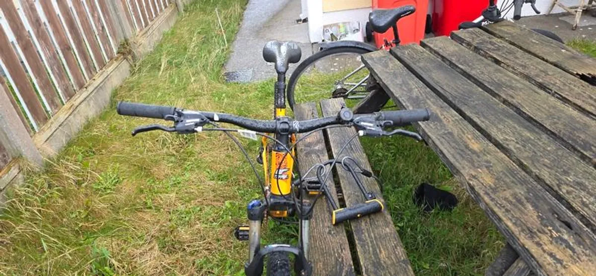 Mountain bike - Image 3
