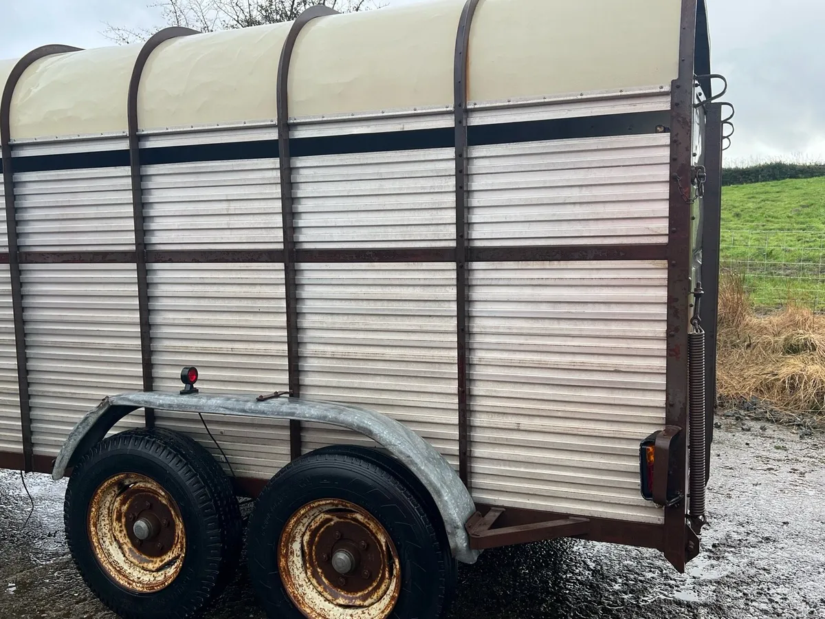 Hamilton livestock trailer - Image 3