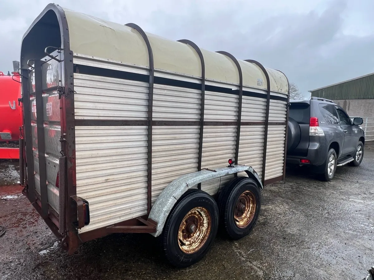 Hamilton livestock trailer - Image 4