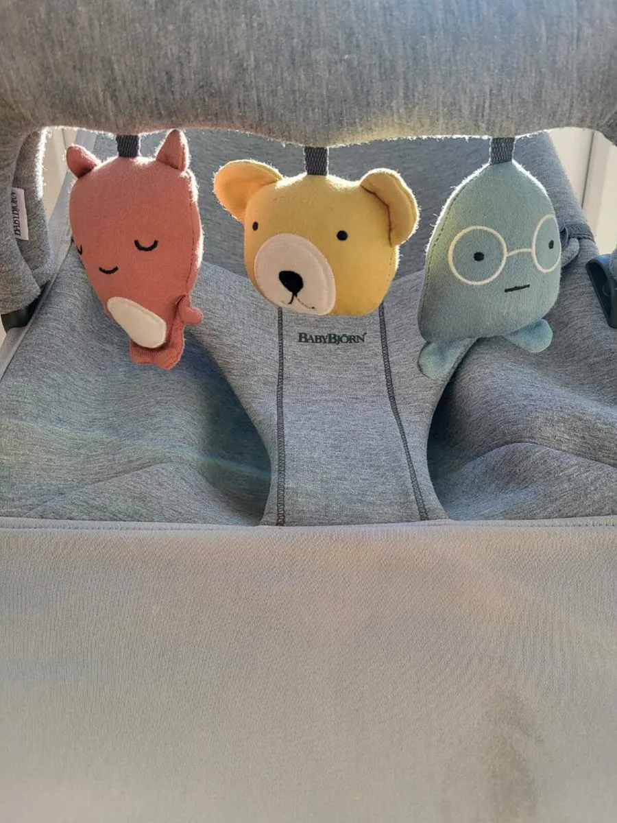 Baby Bjorn Bouncer - Image 1