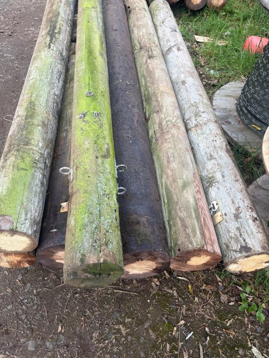 Fencing strainer posts - Image 1