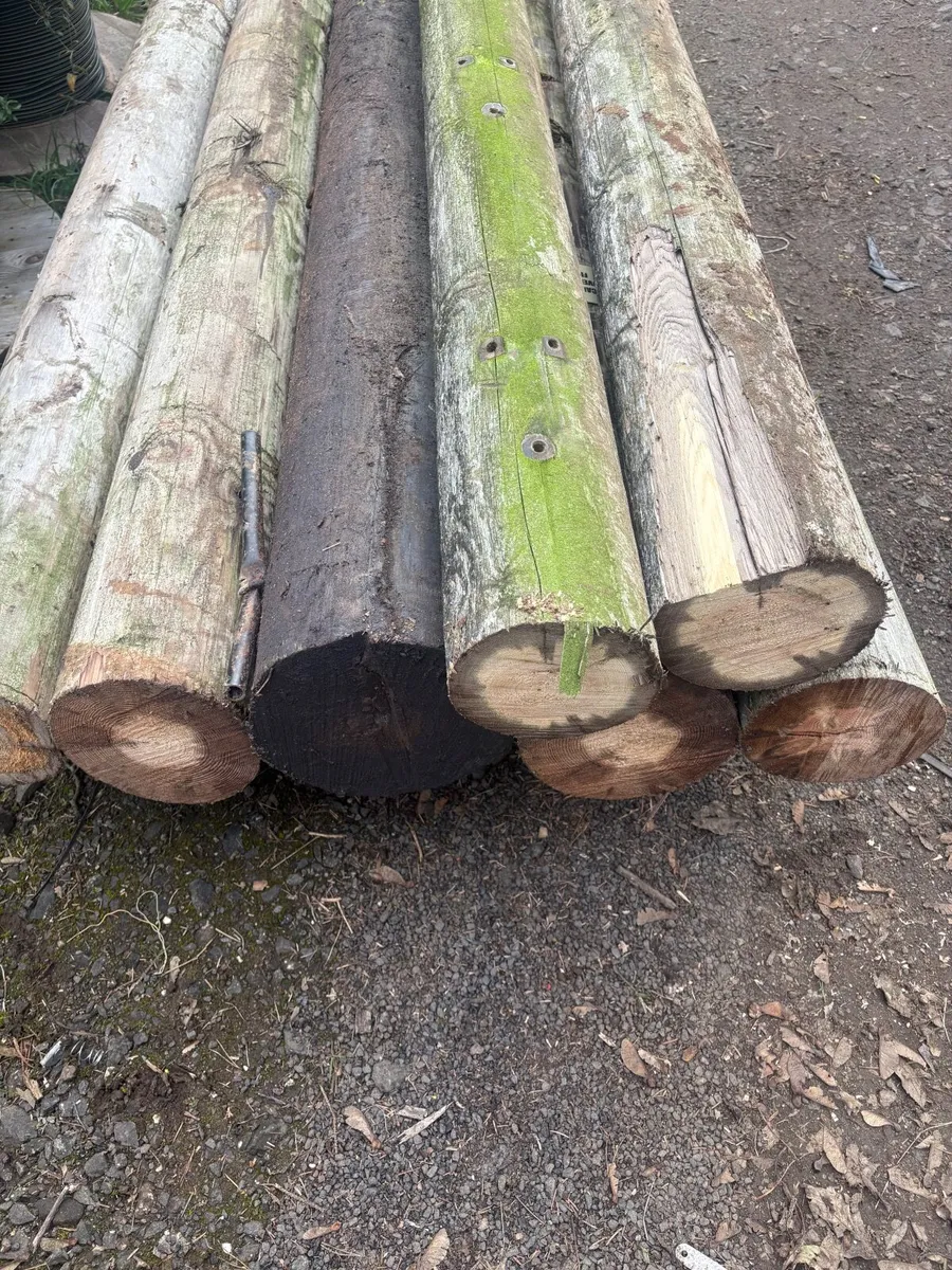 Fencing strainer posts - Image 2