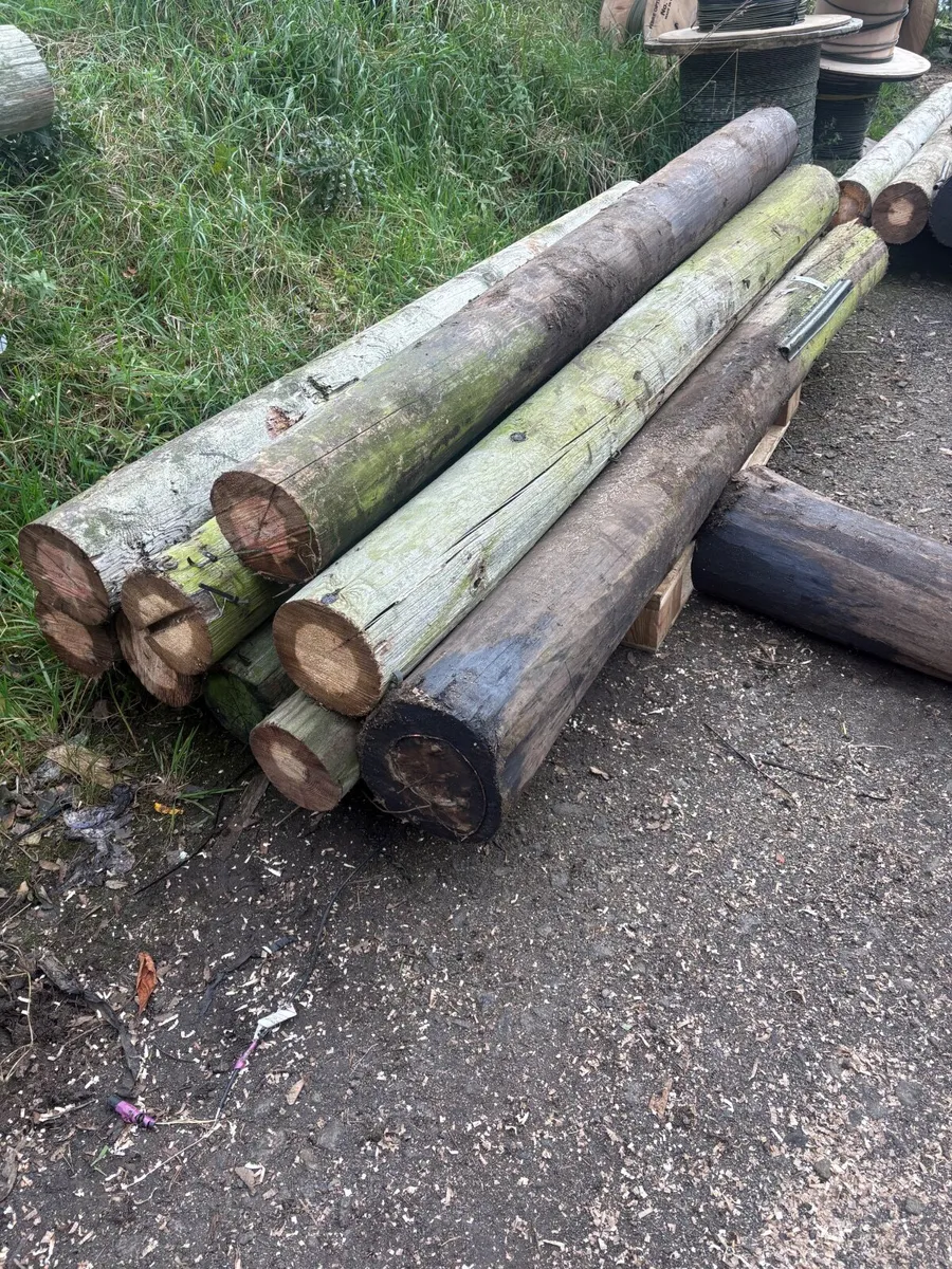 Fencing strainer posts - Image 3