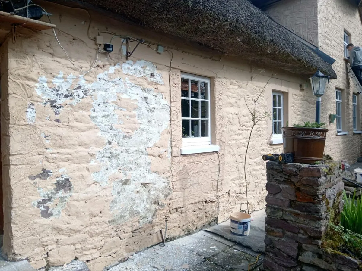 Painting,Plastering - Image 2