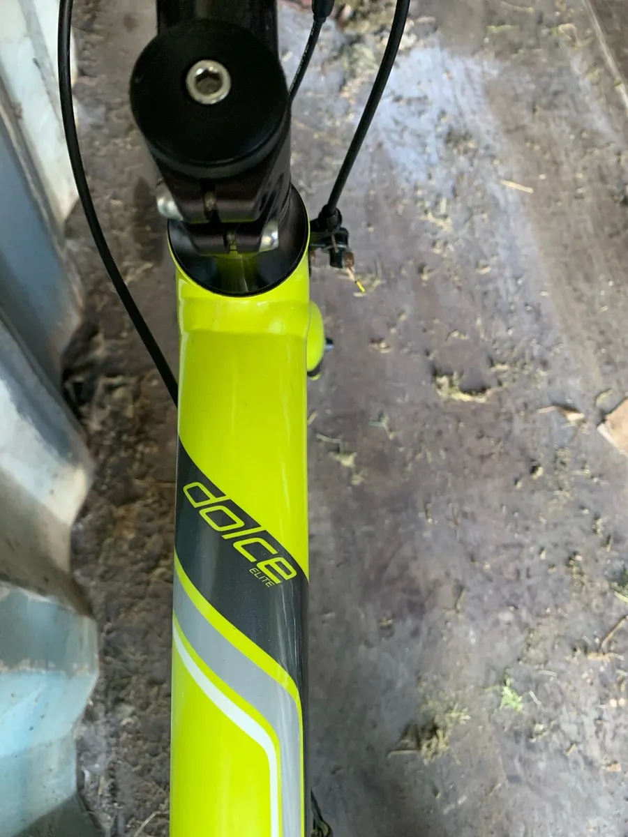 Specialized Dolce elite - 54cm - Image 2