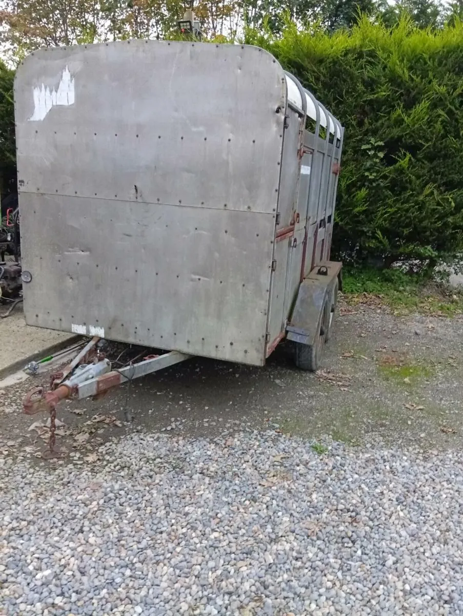 Ifor williams cattle trailer needs work - Image 1