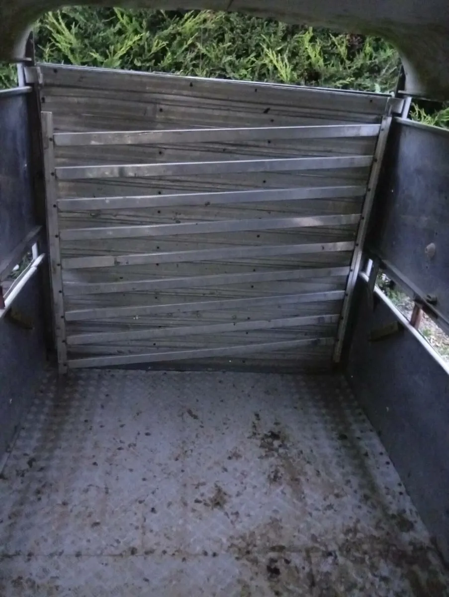 Ifor williams cattle trailer needs work - Image 3