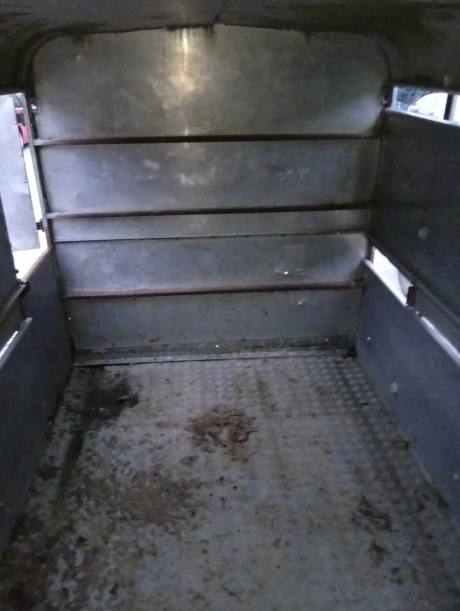 Ifor williams cattle trailer needs work - Image 4
