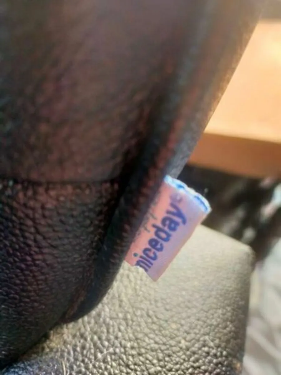 Niceday Office Chair - Image 2