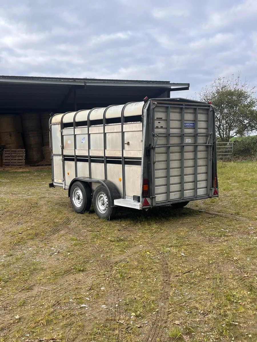 Ifor Williams Livestock Trailer - Image 2