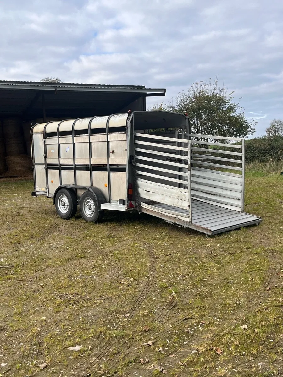 Ifor Williams Livestock Trailer - Image 4