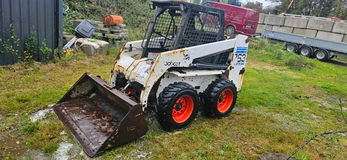 Bobcat - Image 1