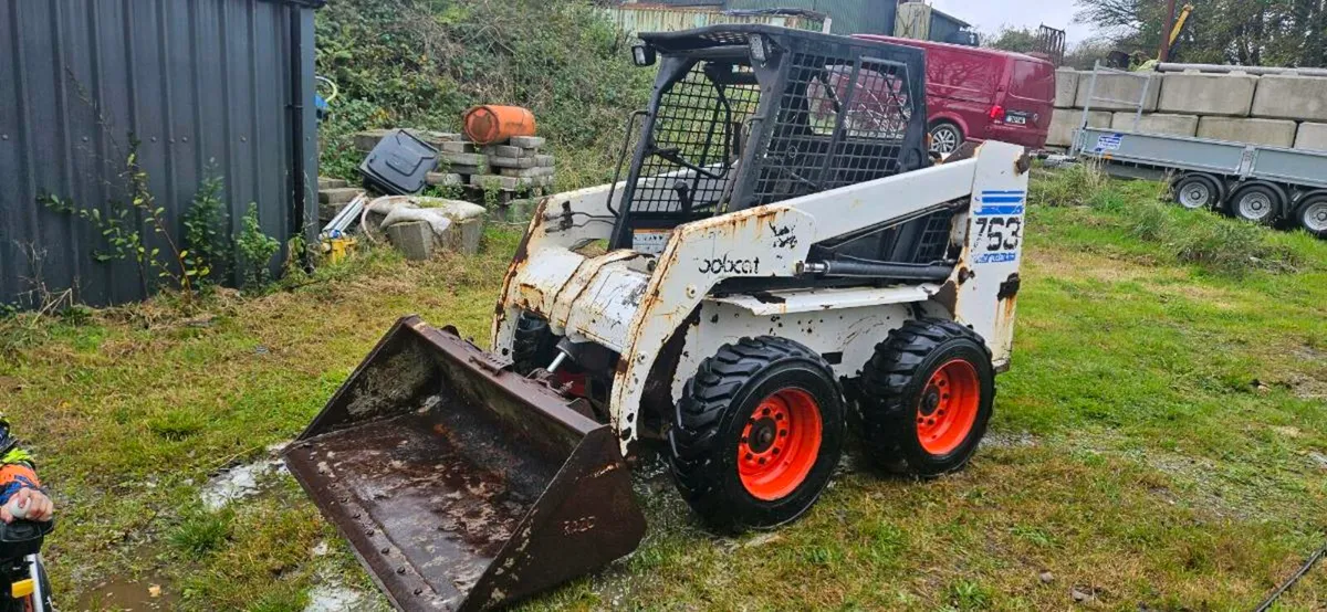 Bobcat - Image 2