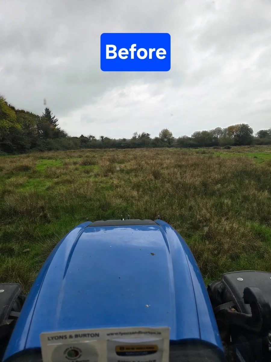 Mulching / Topping service - Image 3