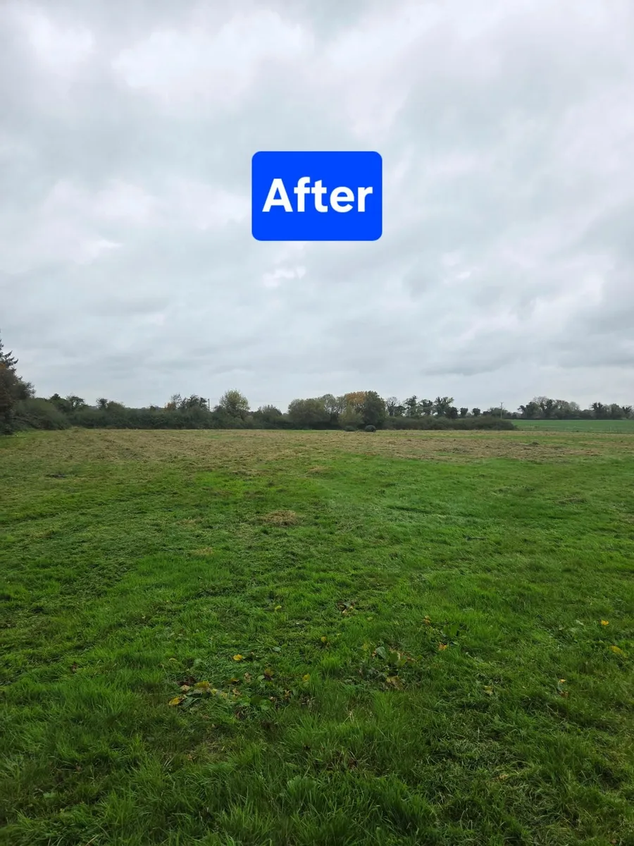 Mulching / Topping service - Image 4