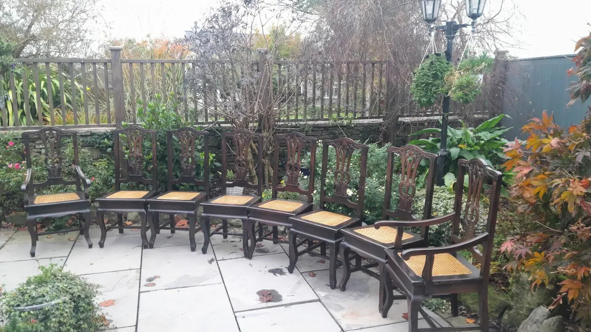 8 Quality dining chairs including 2 carvers - Image 2