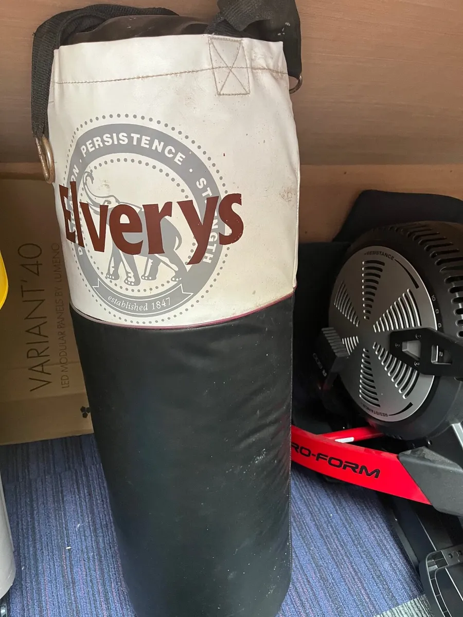Punch bag
