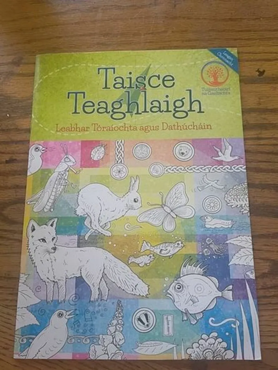 Kids Irish books individually priced