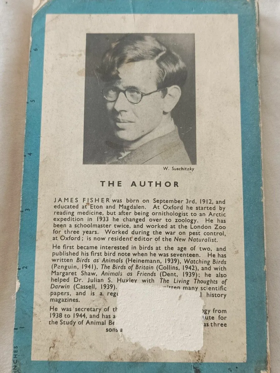 Bird Recognition: Volume One Sea-Birds and Waders - Image 4