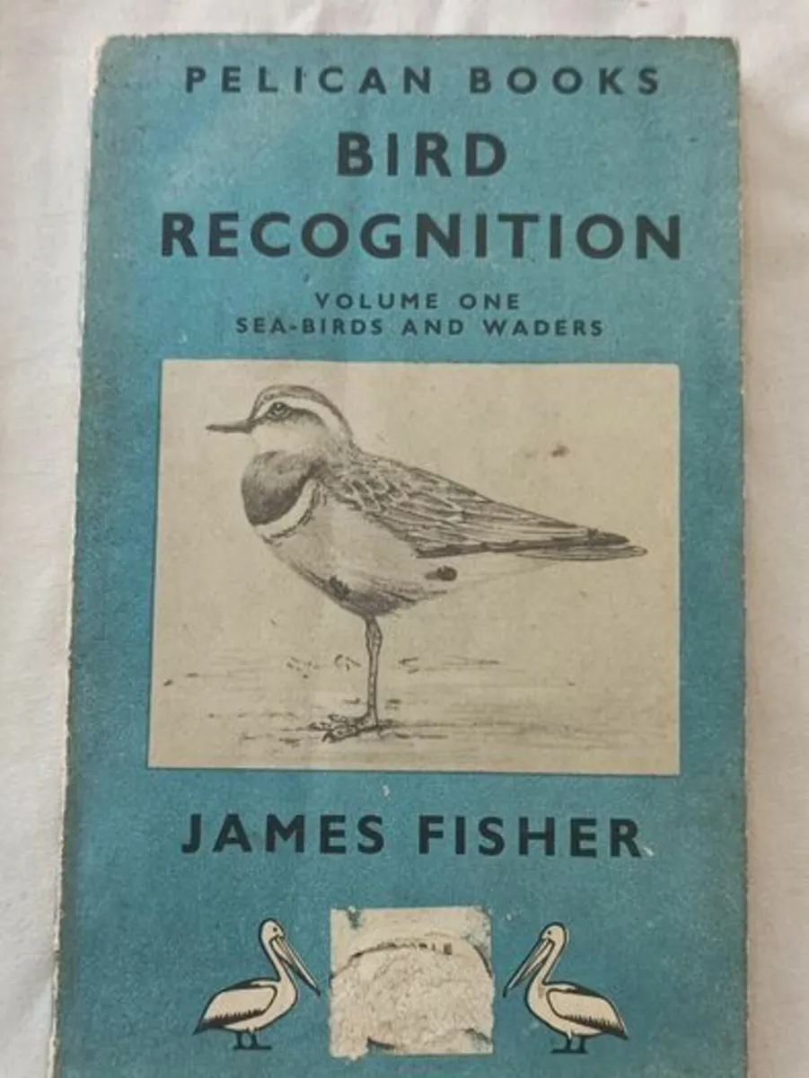 Bird Recognition: Volume One Sea-Birds and Waders - Image 1