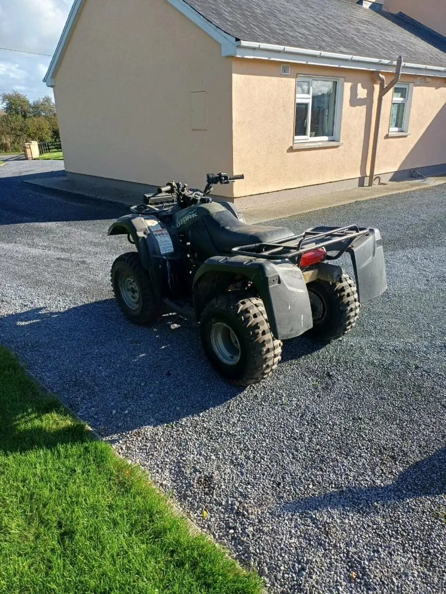 Suzuki ozark 250cc - Image 3
