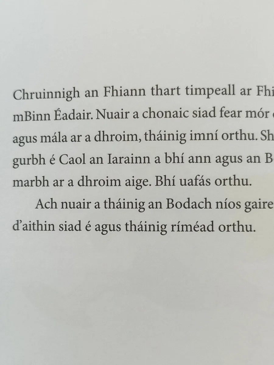 Bodach an Chota Lachna (Fionn) Darach O'Scolai - Image 2