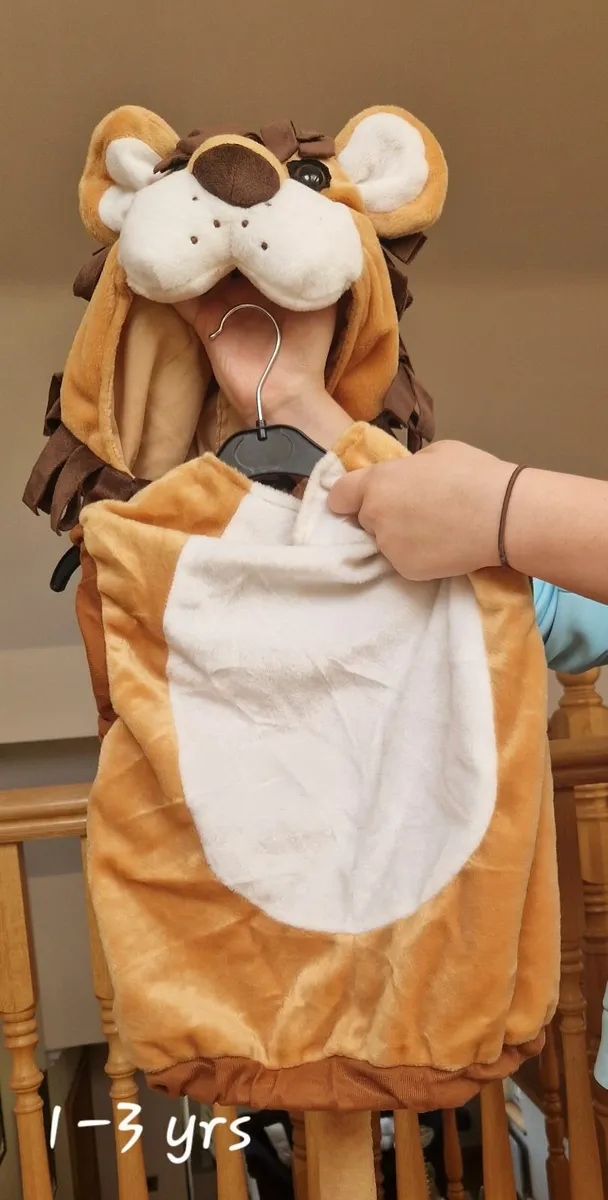 Halloween costume