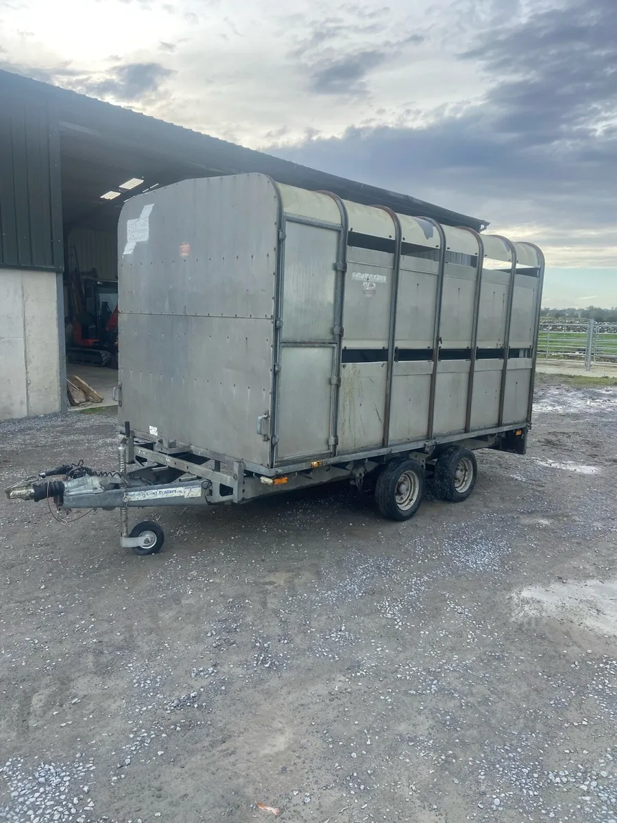 12ft Ifor Williams Cattle trailer - Image 1