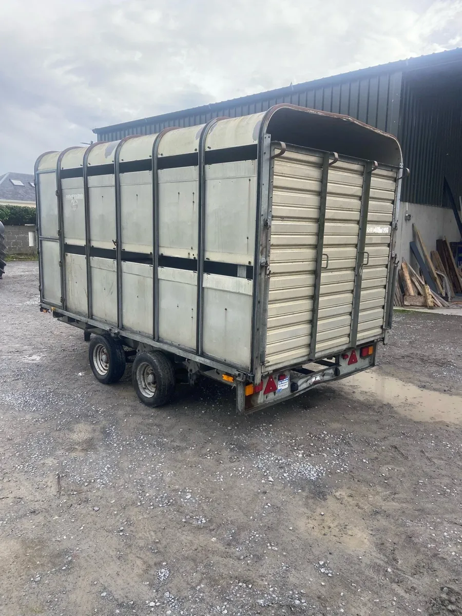 12ft Ifor Williams Cattle trailer - Image 2