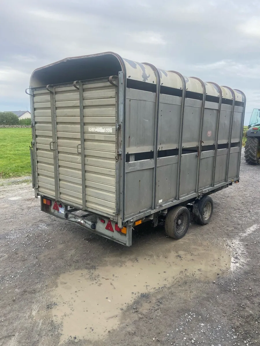 12ft Ifor Williams Cattle trailer - Image 3