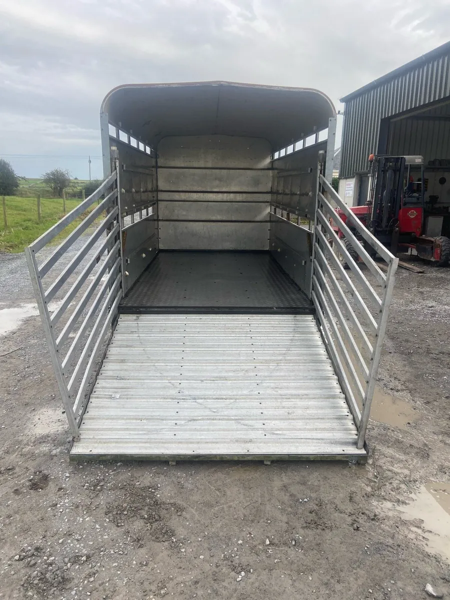 12ft Ifor Williams Cattle trailer - Image 4