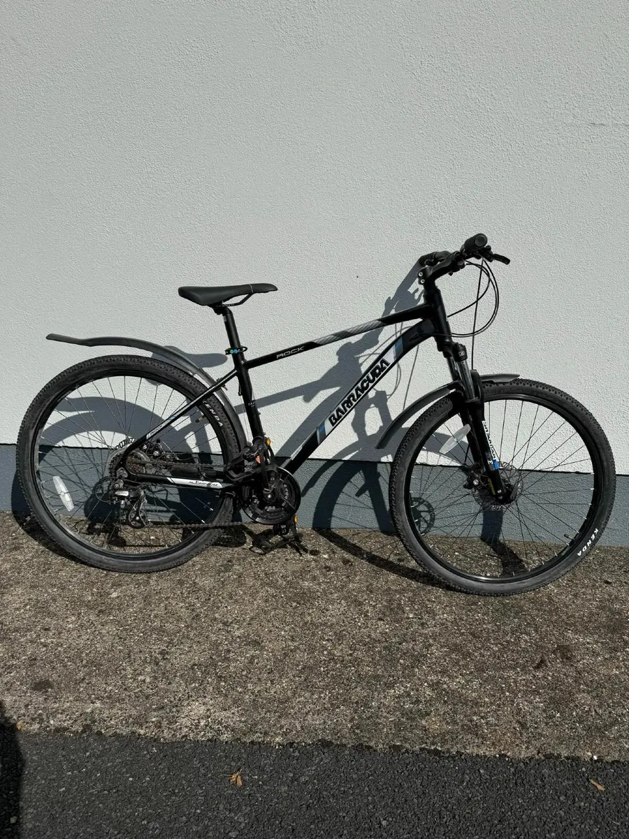 Adult Mountain Bike - Image 1