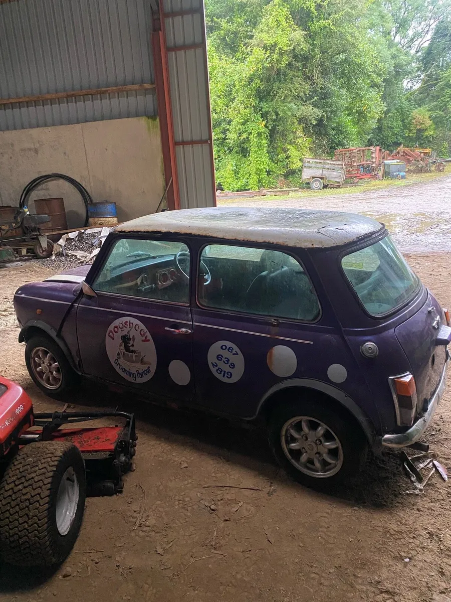 Rover Mini Cooper - Image 3