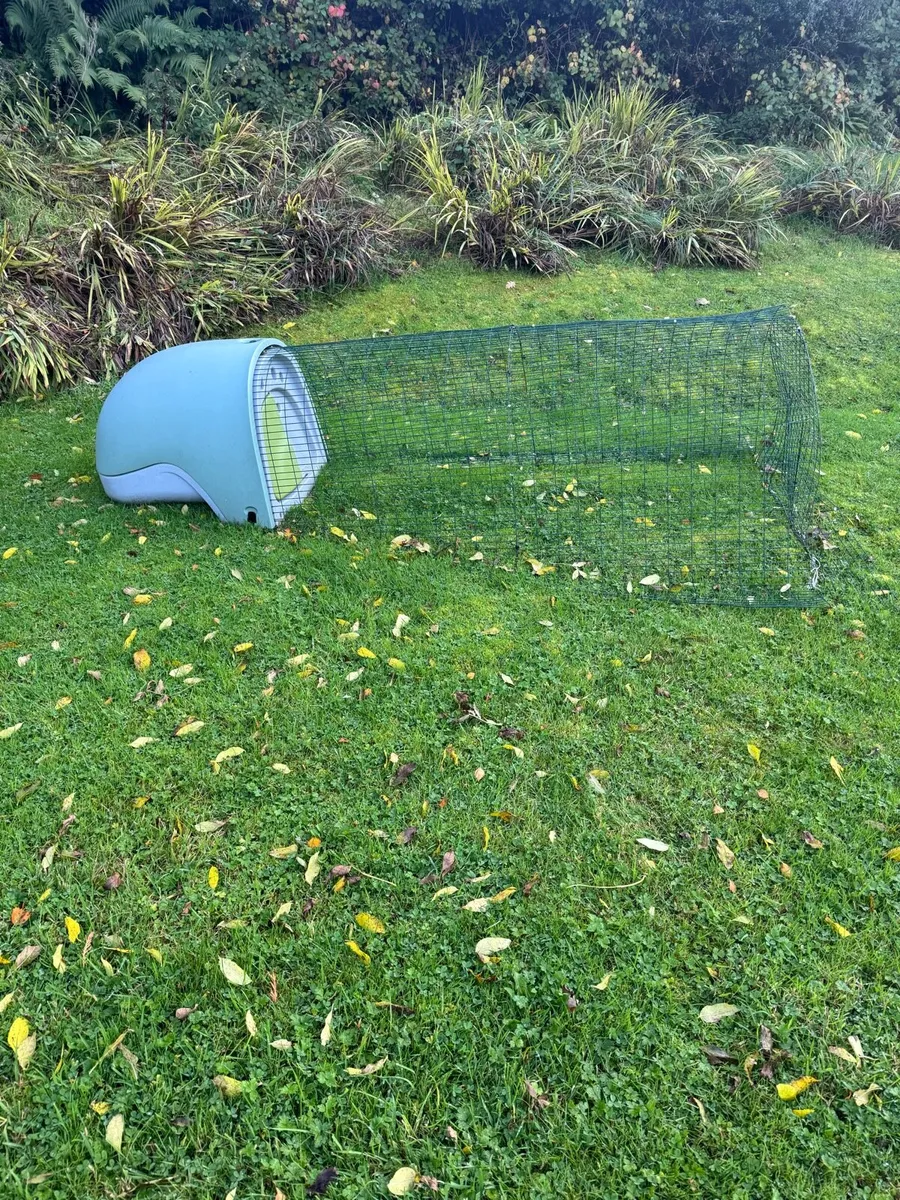 Eglu Chicken Coop - Image 2