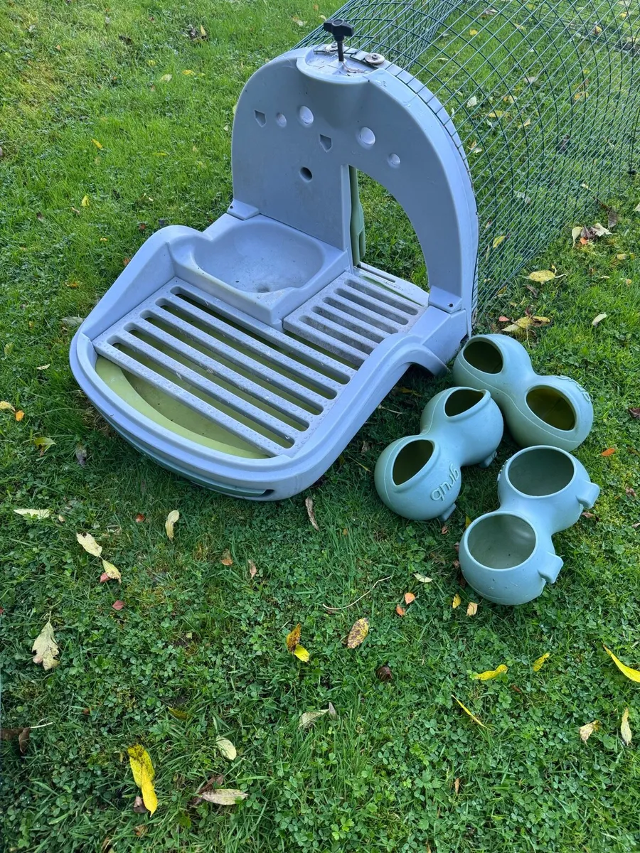 Eglu Chicken Coop - Image 4