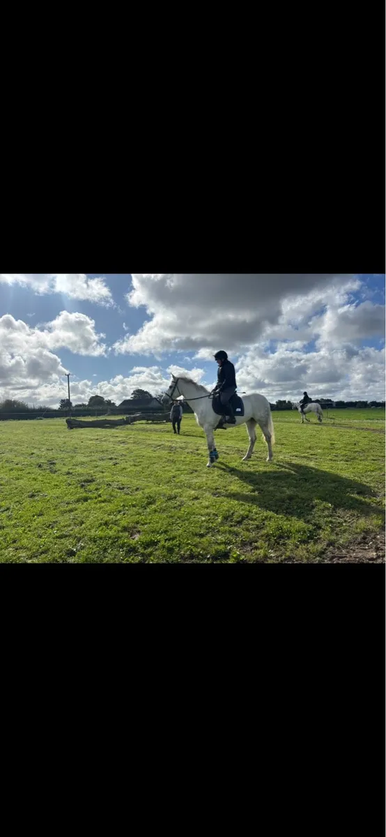 Pony - Image 1