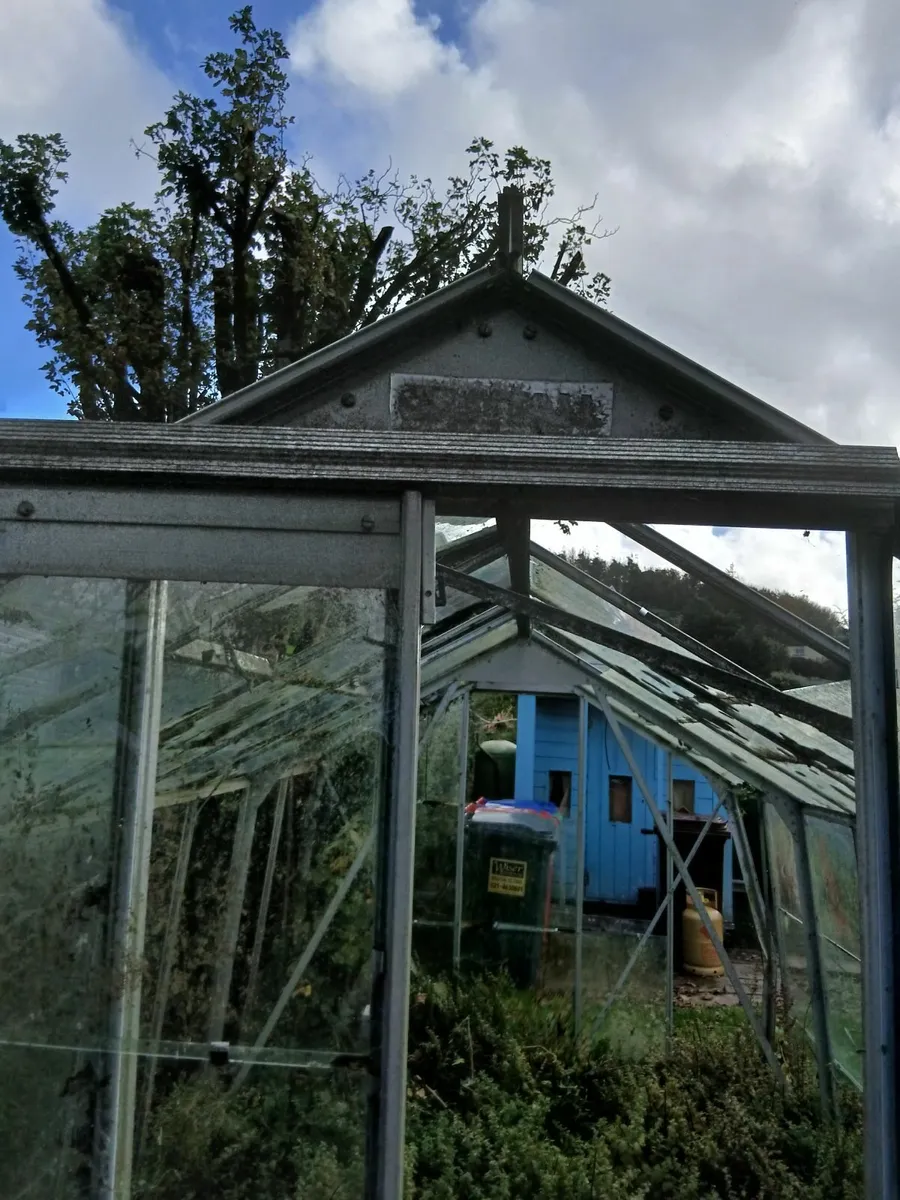Glass house - Image 2