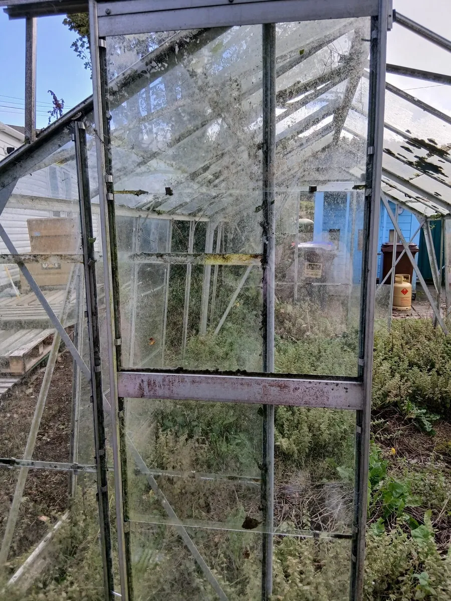 Glass house - Image 3