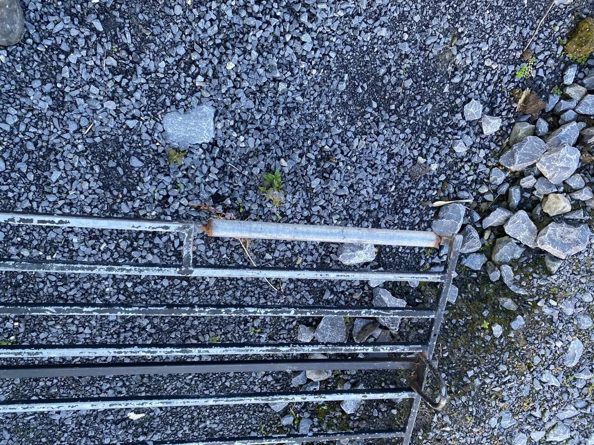 Ford Transit Roof rack - Image 2