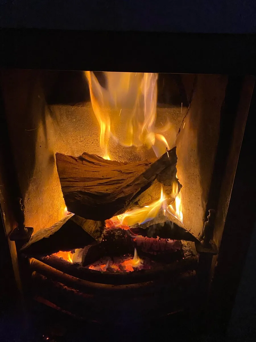 Firewood logs - Image 1