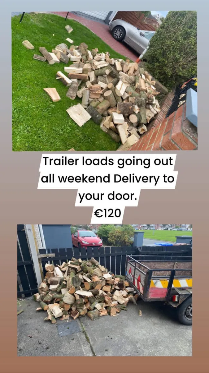 Firewood logs - Image 2