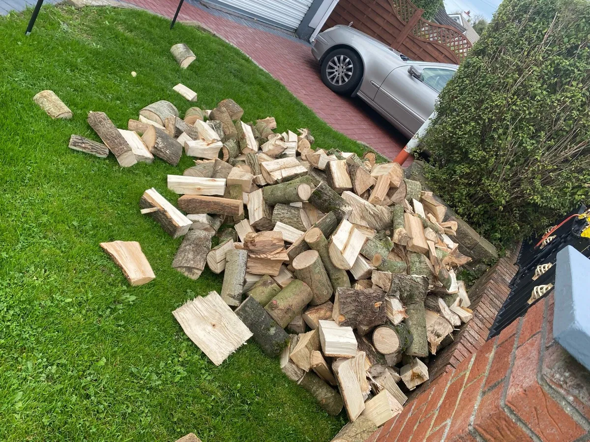 Firewood logs - Image 3