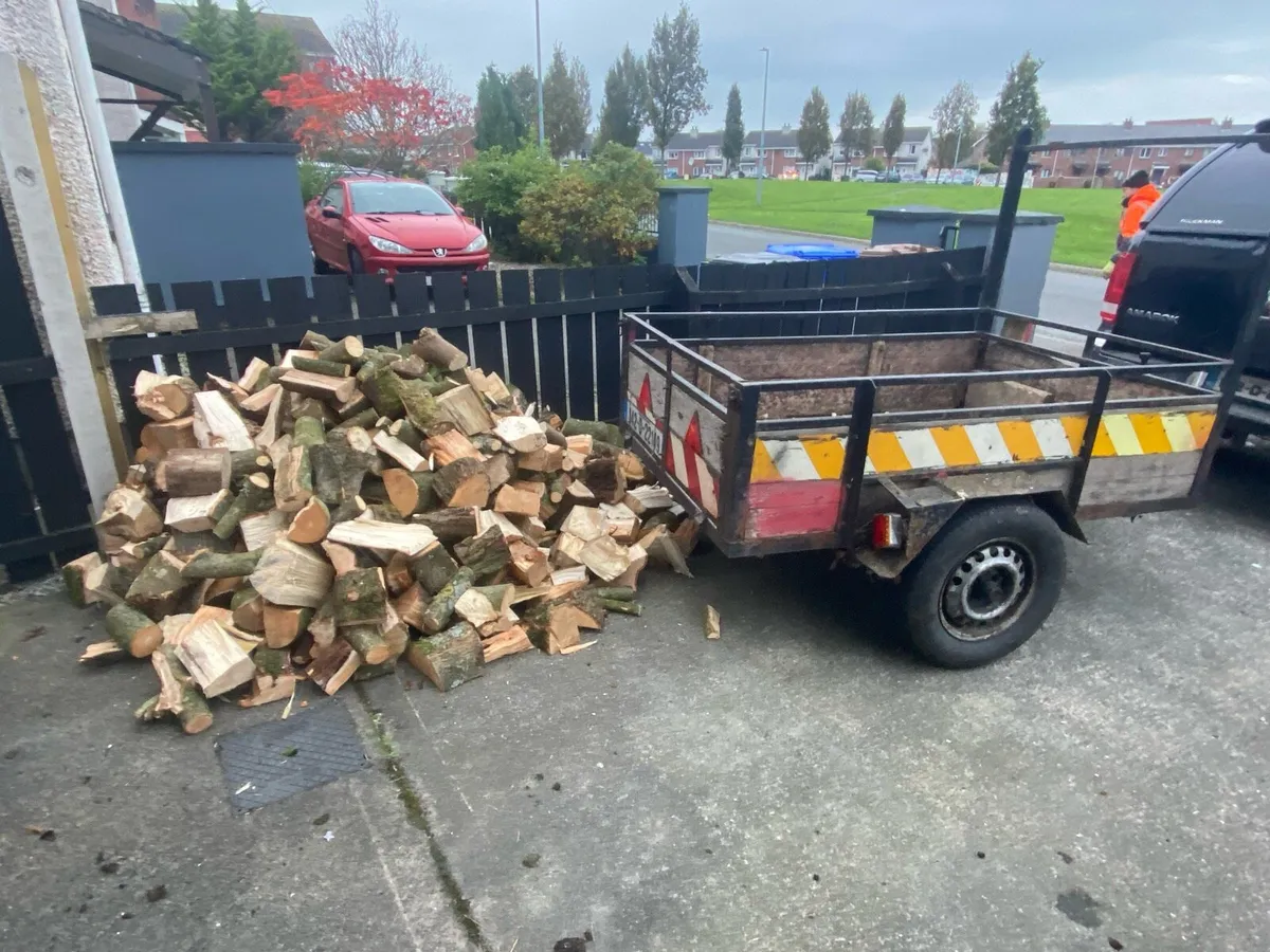 Firewood logs - Image 4