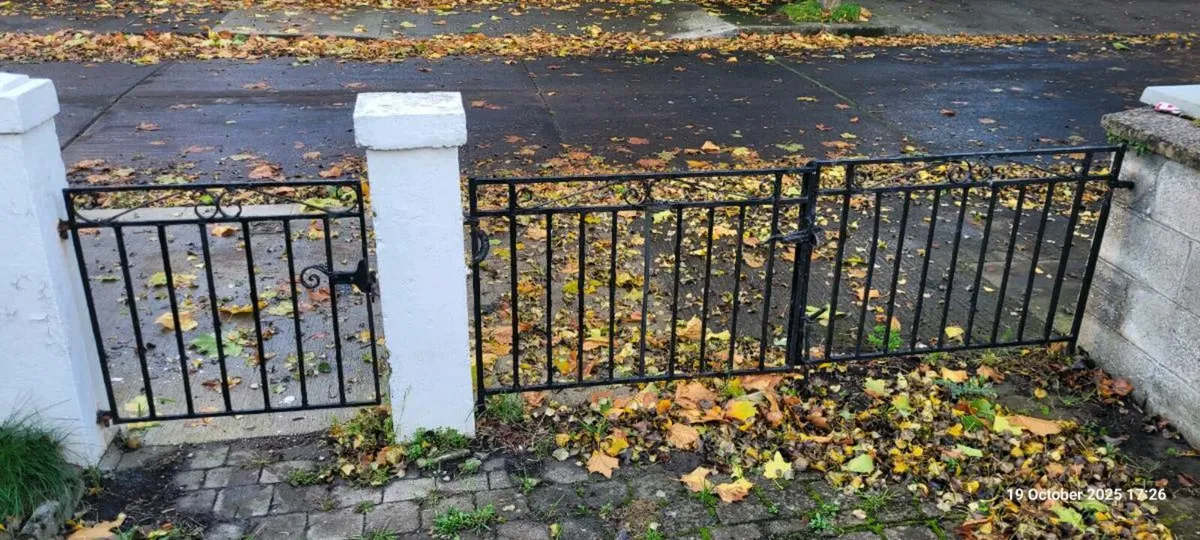 Antique Wrought Iron Gates - Image 1