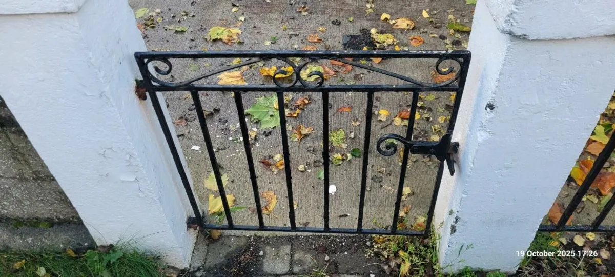 Antique Wrought Iron Gates - Image 2