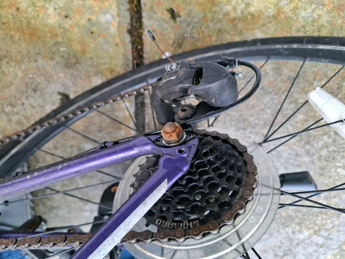 Bicycle - Image 4