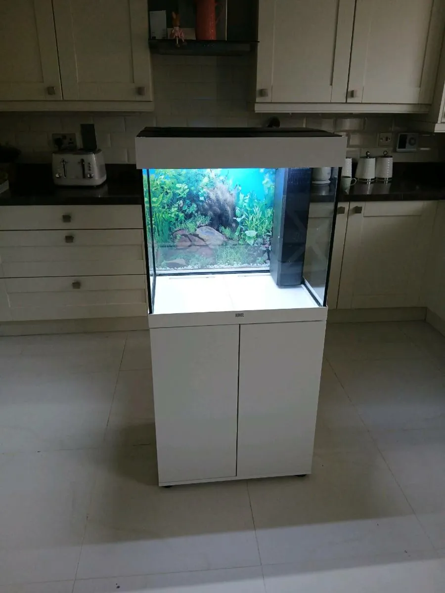Fish tank - Image 1