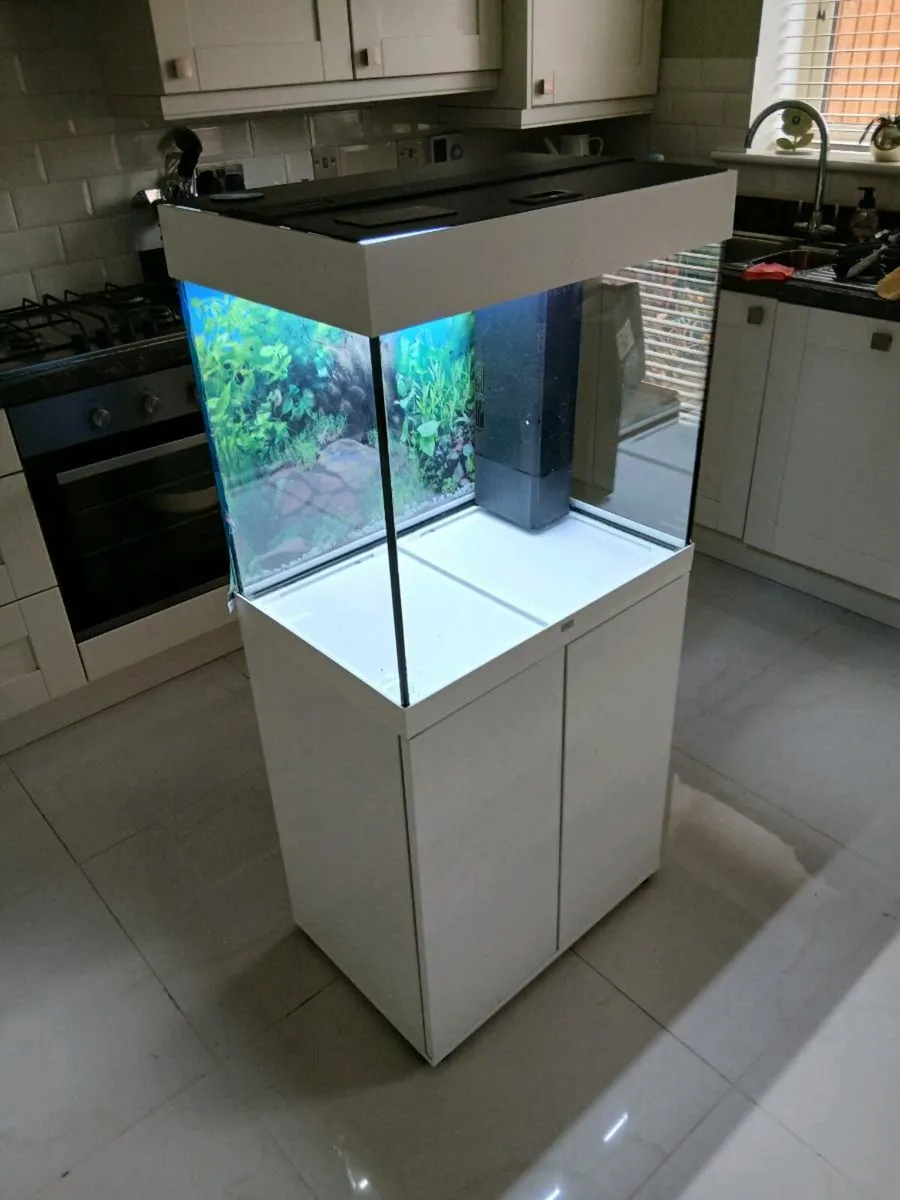 Fish tank - Image 2