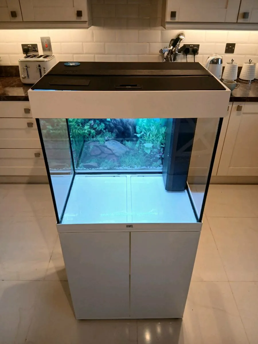 Fish tank - Image 3